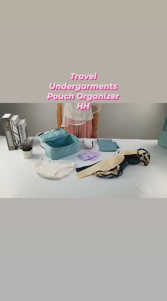 Travels Under Garments Organizer Pouch (1pc)